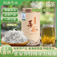 100克張家界莓茶特級(jí)芽尖莓茶正宗龍須茅巖霉茶土家藤茶一件代發(fā)